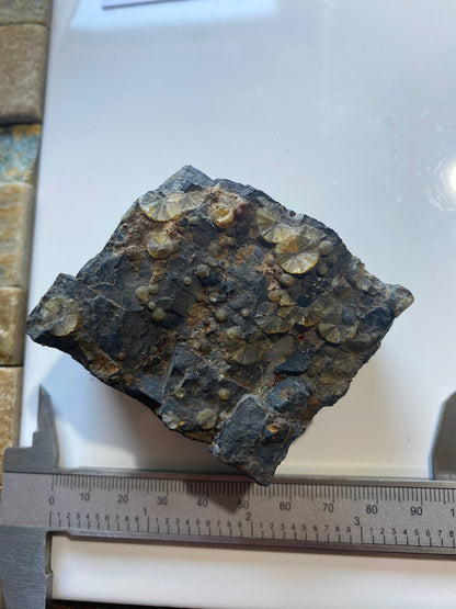 WAVELLITE : HIGH DOWN QUARRY, WEST BUCKLAND, DEVON, ENGLAND 180g MF5006