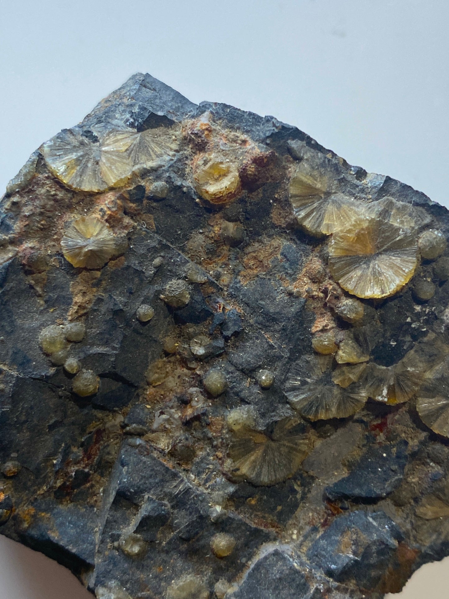 WAVELLITE : HIGH DOWN QUARRY, WEST BUCKLAND, DEVON, ENGLAND 180g MF5006