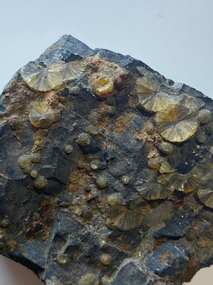 WAVELLITE : HIGH DOWN QUARRY, WEST BUCKLAND, DEVON, ENGLAND 180g MF5006