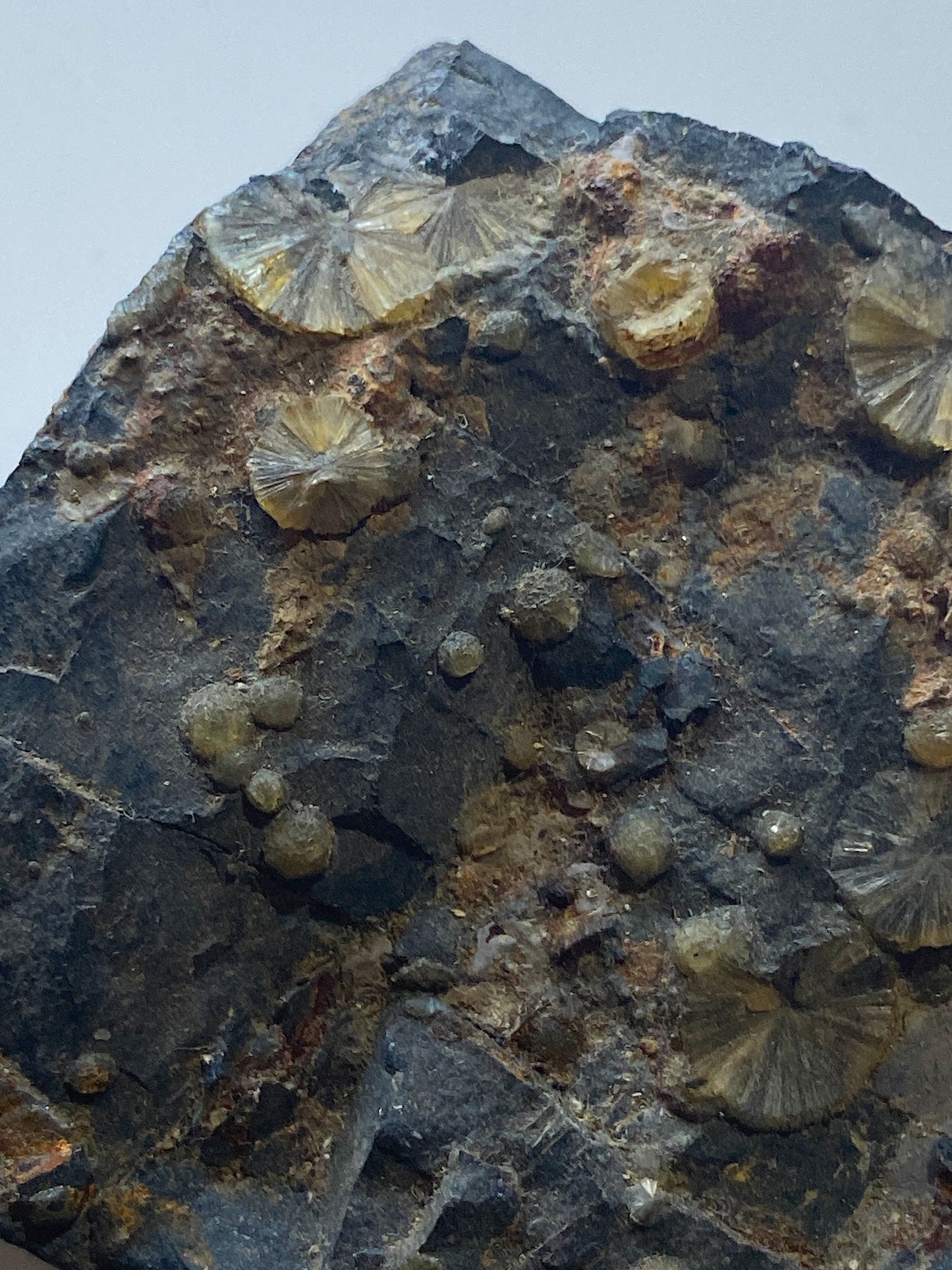 WAVELLITE : HIGH DOWN QUARRY, WEST BUCKLAND, DEVON, ENGLAND 180g MF5006