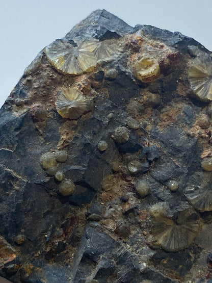 WAVELLITE : HIGH DOWN QUARRY, WEST BUCKLAND, DEVON, ENGLAND 180g MF5006