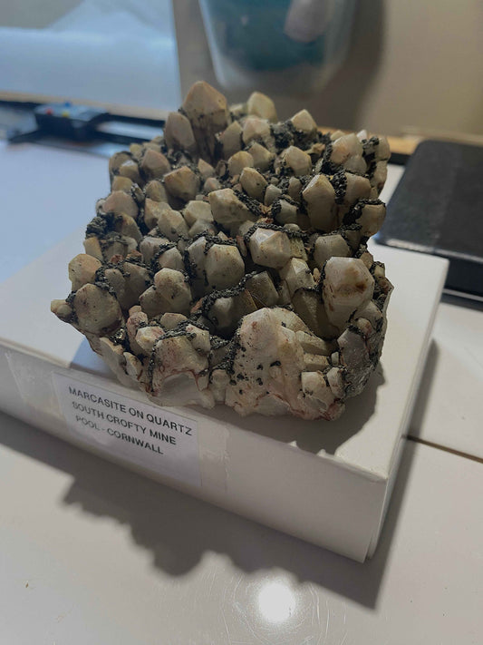 MARCASITE ON QUARTZ : SOUTH CROFTY MINE, POOL, CORNWALL. 457g MF5009