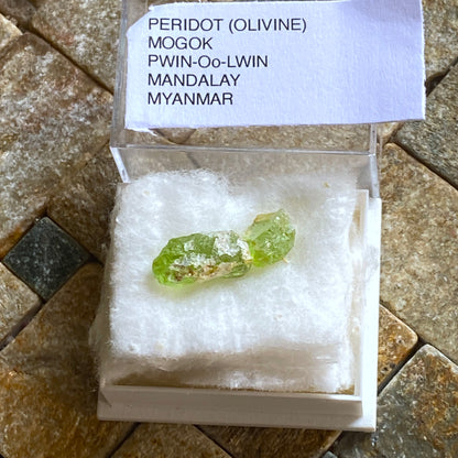 PERIDOT x 2 SPECIMENS FROM MOGOK, MANDALAY, MYANMAR  2g  MF1778