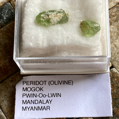 PERIDOT x 2 SPECIMENS FROM MOGOK, MANDALAY, MYANMAR  2g  MF1778