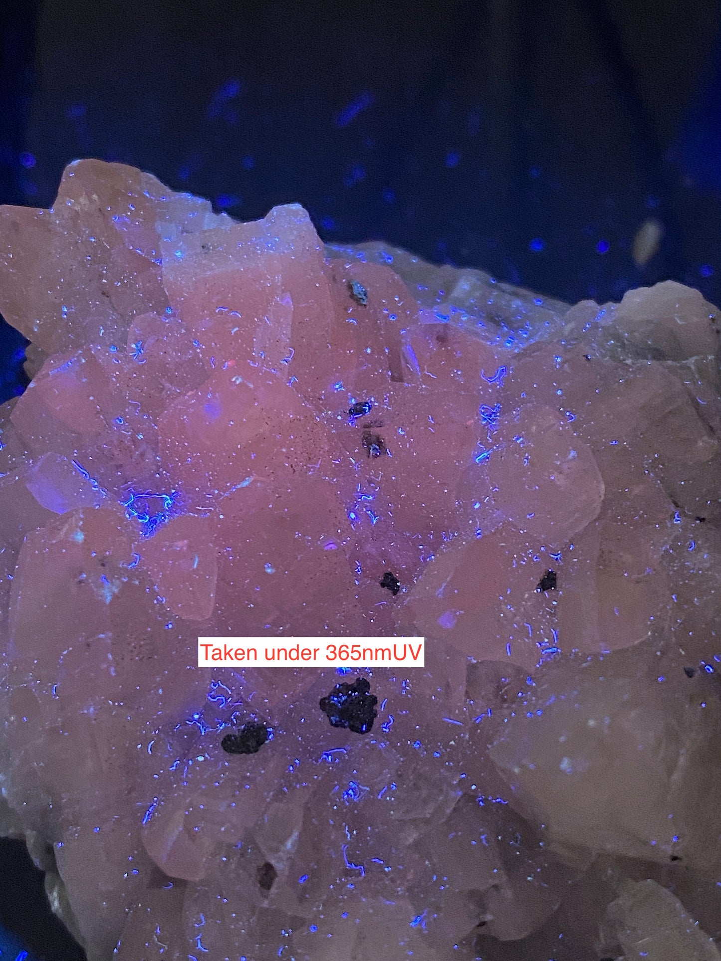 CALCITE : ABBEYTOWN MINE, BALLYSADARE, SLIGO COUNTY, IRELAND  220g MF4988