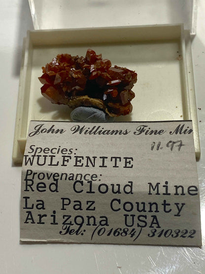 WULFENITE : RED CLOUD MINE, LA PAZ COUNTY, ARIZONA, U.S.A.  MF4991