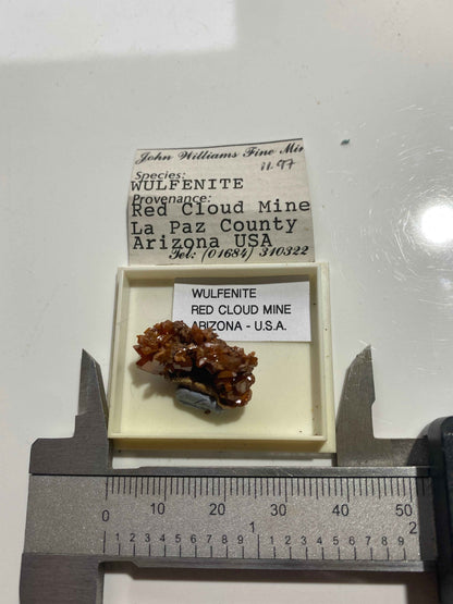 WULFENITE : RED CLOUD MINE, LA PAZ COUNTY, ARIZONA, U.S.A.  MF4991