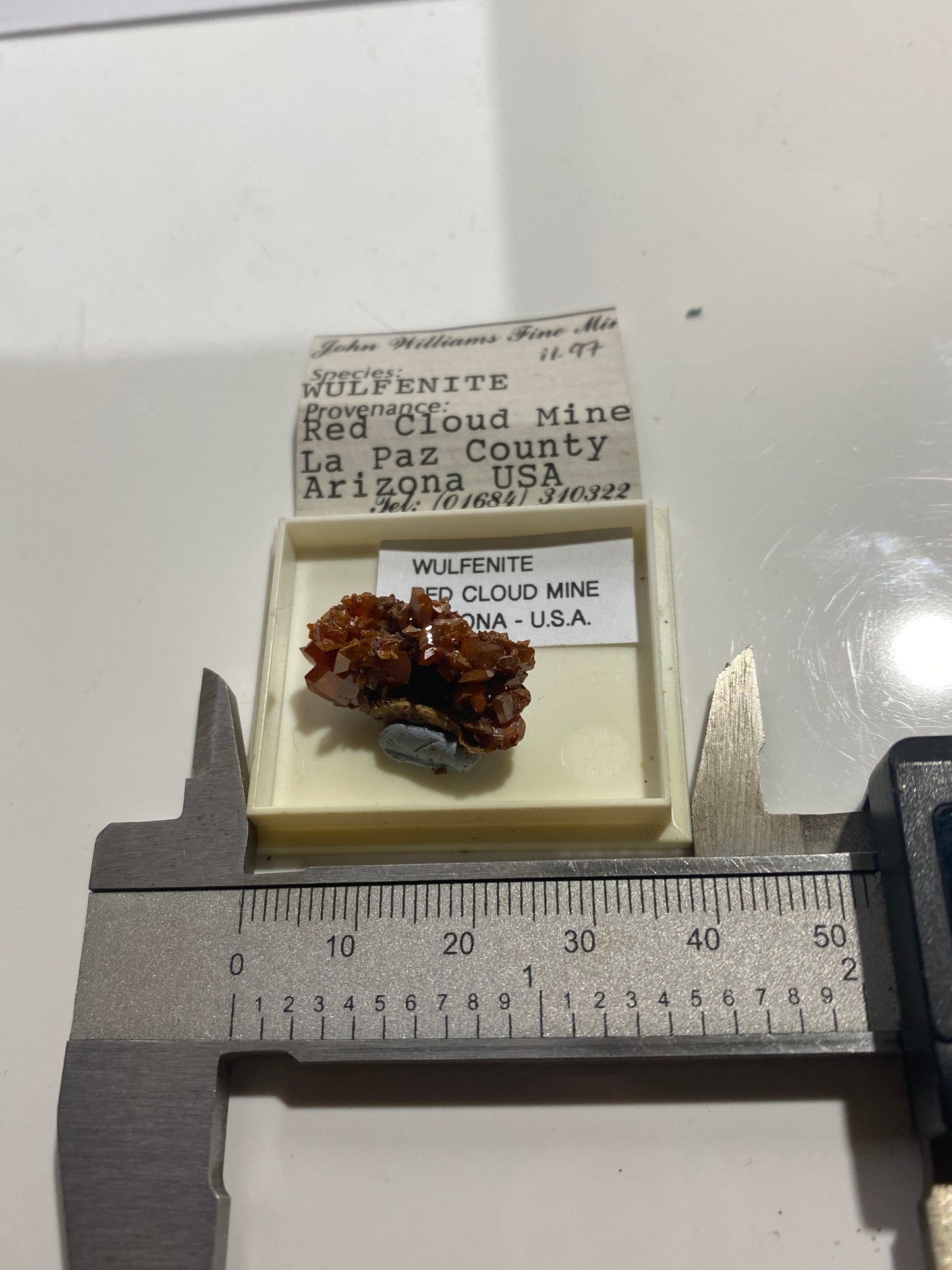 WULFENITE : RED CLOUD MINE, LA PAZ COUNTY, ARIZONA, U.S.A.  MF4991