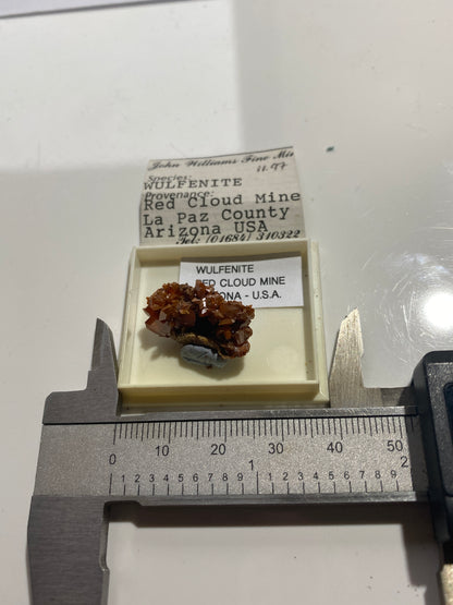 WULFENITE : RED CLOUD MINE, LA PAZ COUNTY, ARIZONA, U.S.A.  MF4991