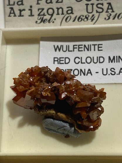 WULFENITE : RED CLOUD MINE, LA PAZ COUNTY, ARIZONA, U.S.A.  MF4991