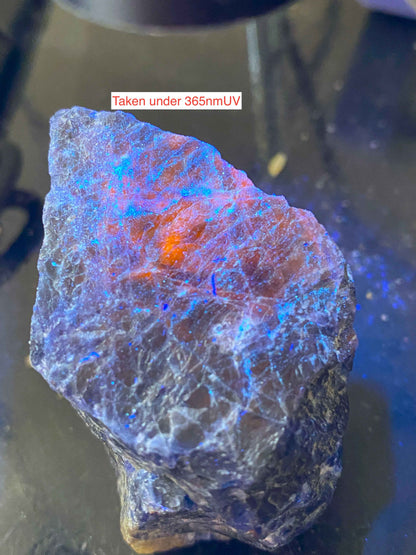 SODALITE : HIASSU FARM, BAHIA, BRAZIL. 75g. MF4994