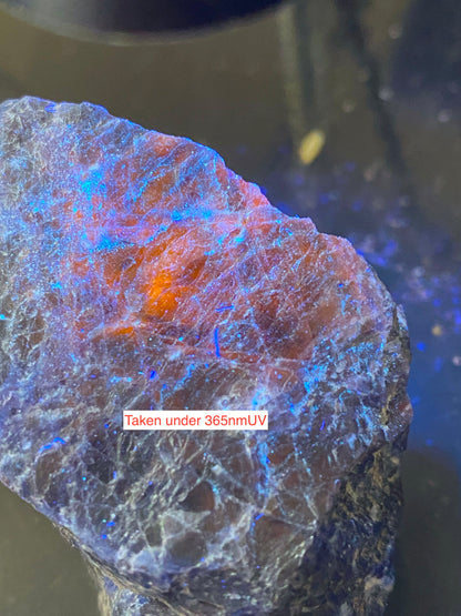 SODALITE : HIASSU FARM, BAHIA, BRAZIL. 75g. MF4994