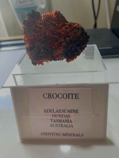 CROCOITE : ADELAIDE MINE, DUNDAS, TASMANIA, AUSTRALIA. 54g MF4996