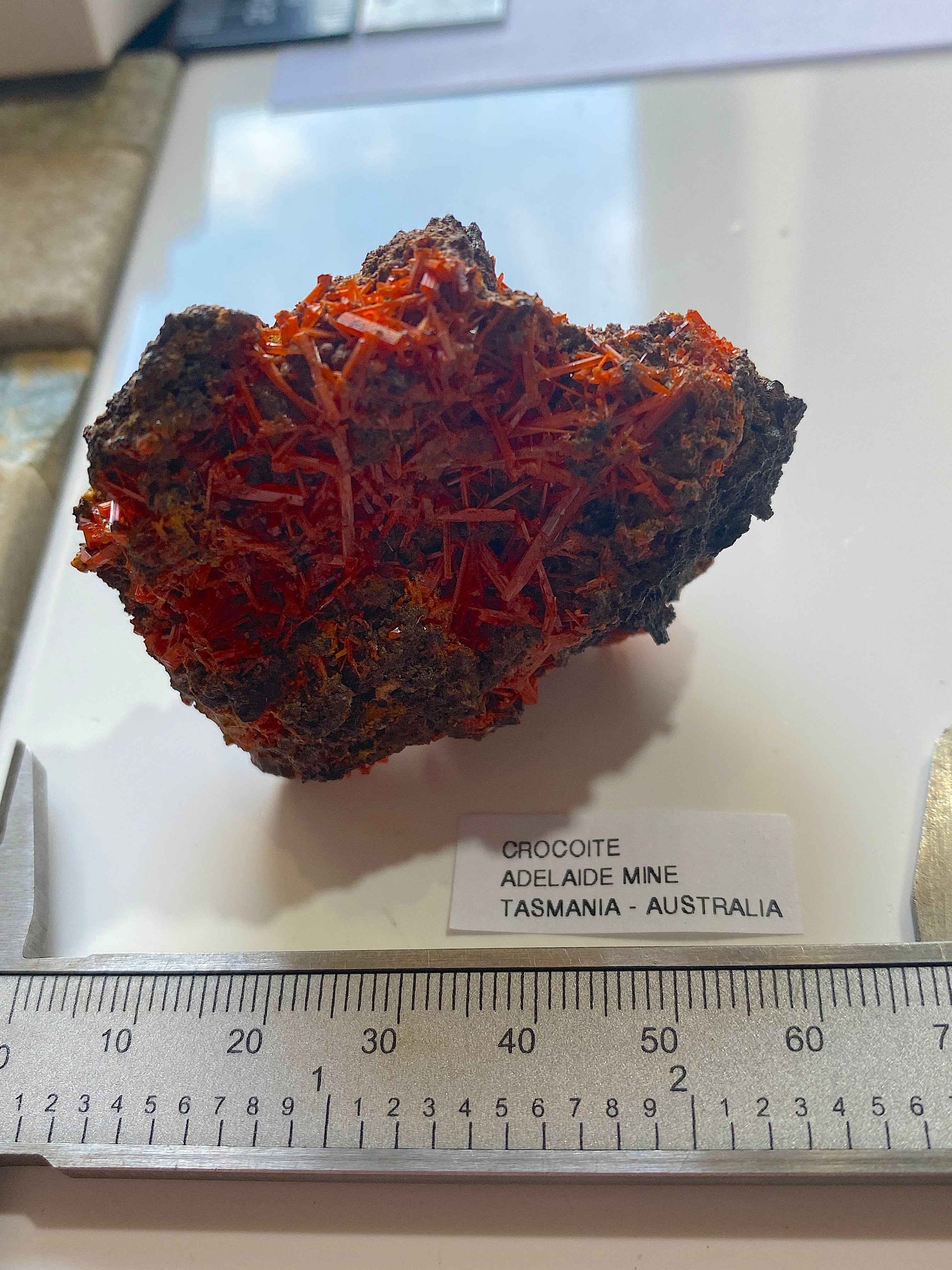 CROCOITE : ADELAIDE MINE, DUNDAS, TASMANIA, AUSTRALIA. 54g MF4996