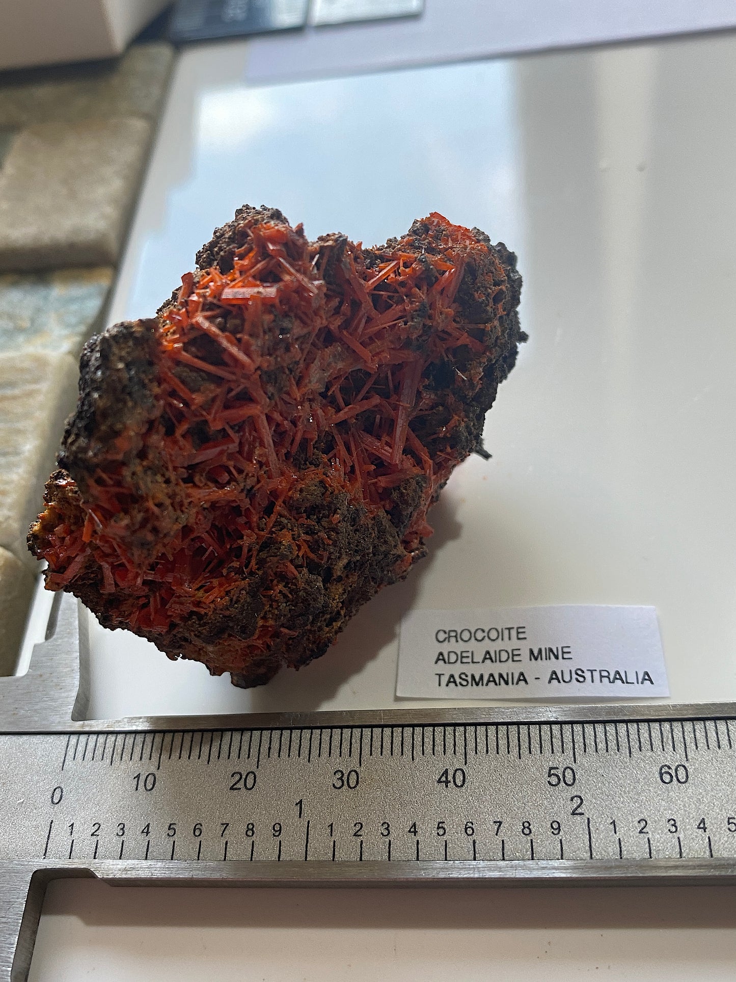 CROCOITE : ADELAIDE MINE, DUNDAS, TASMANIA, AUSTRALIA. 54g MF4996