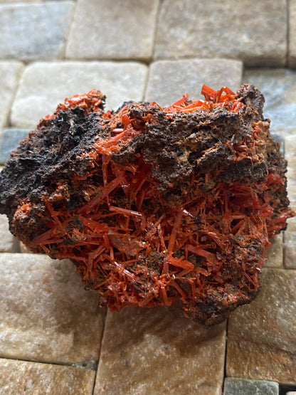CROCOITE : ADELAIDE MINE, DUNDAS, TASMANIA, AUSTRALIA. 54g MF4996