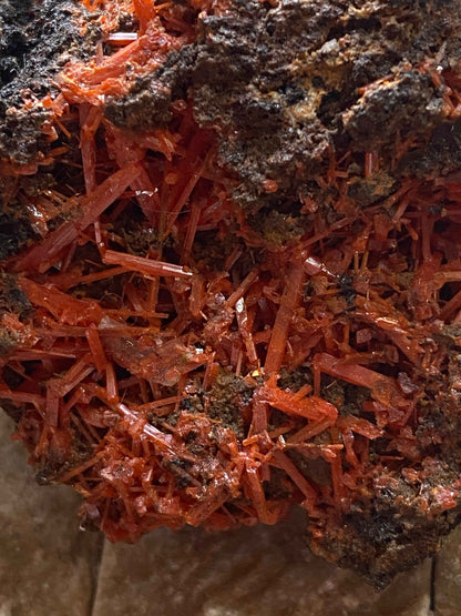 CROCOITE : ADELAIDE MINE, DUNDAS, TASMANIA, AUSTRALIA. 54g MF4996