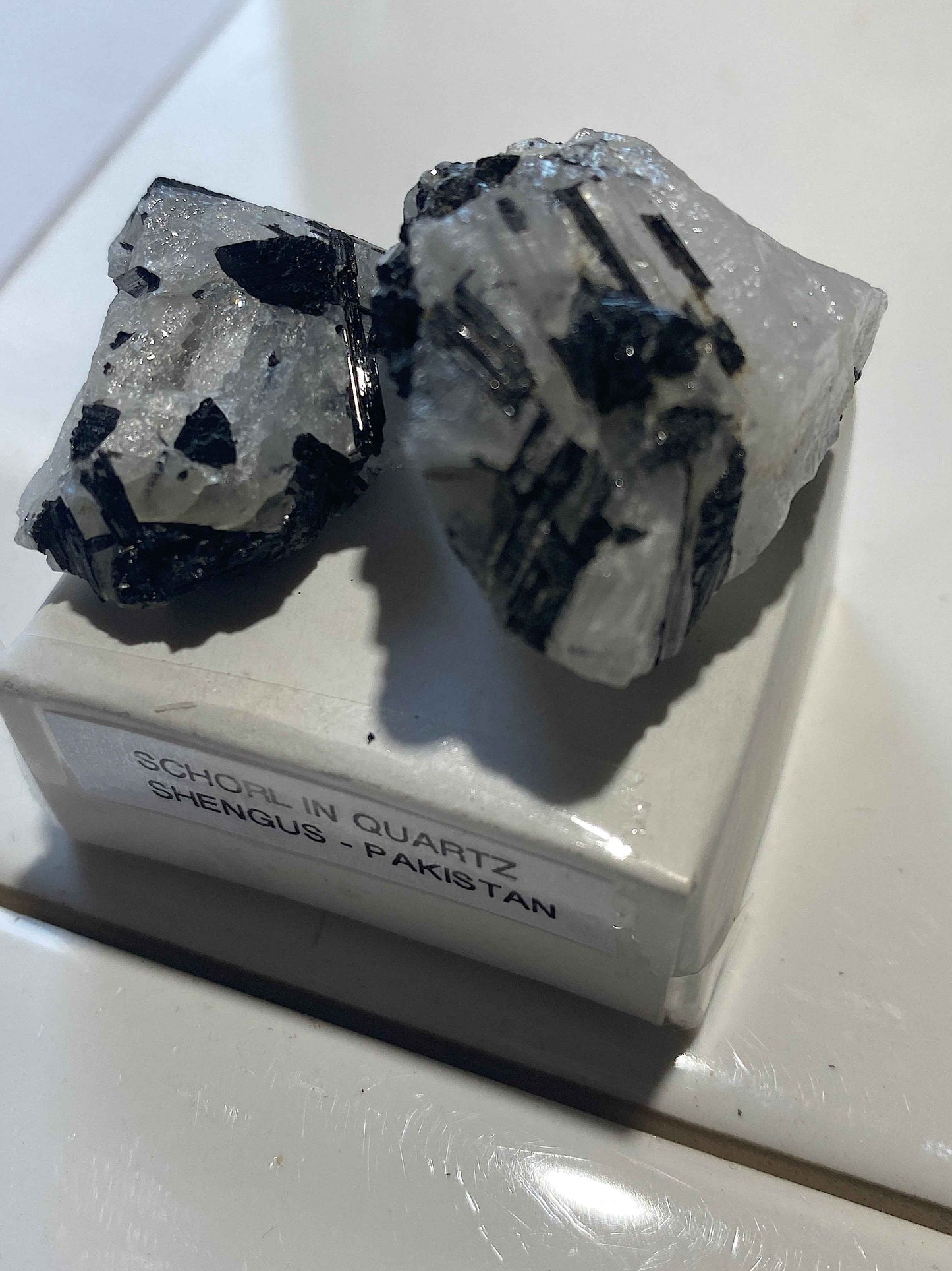SCHORL TOURMALINE IN QUARTZ x 2 : SHENGUS, ROUNDU DISTRICT, PAKISTAN 26g MF4998