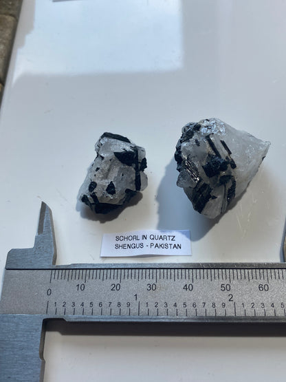 SCHORL TOURMALINE IN QUARTZ x 2 : SHENGUS, ROUNDU DISTRICT, PAKISTAN 26g MF4998