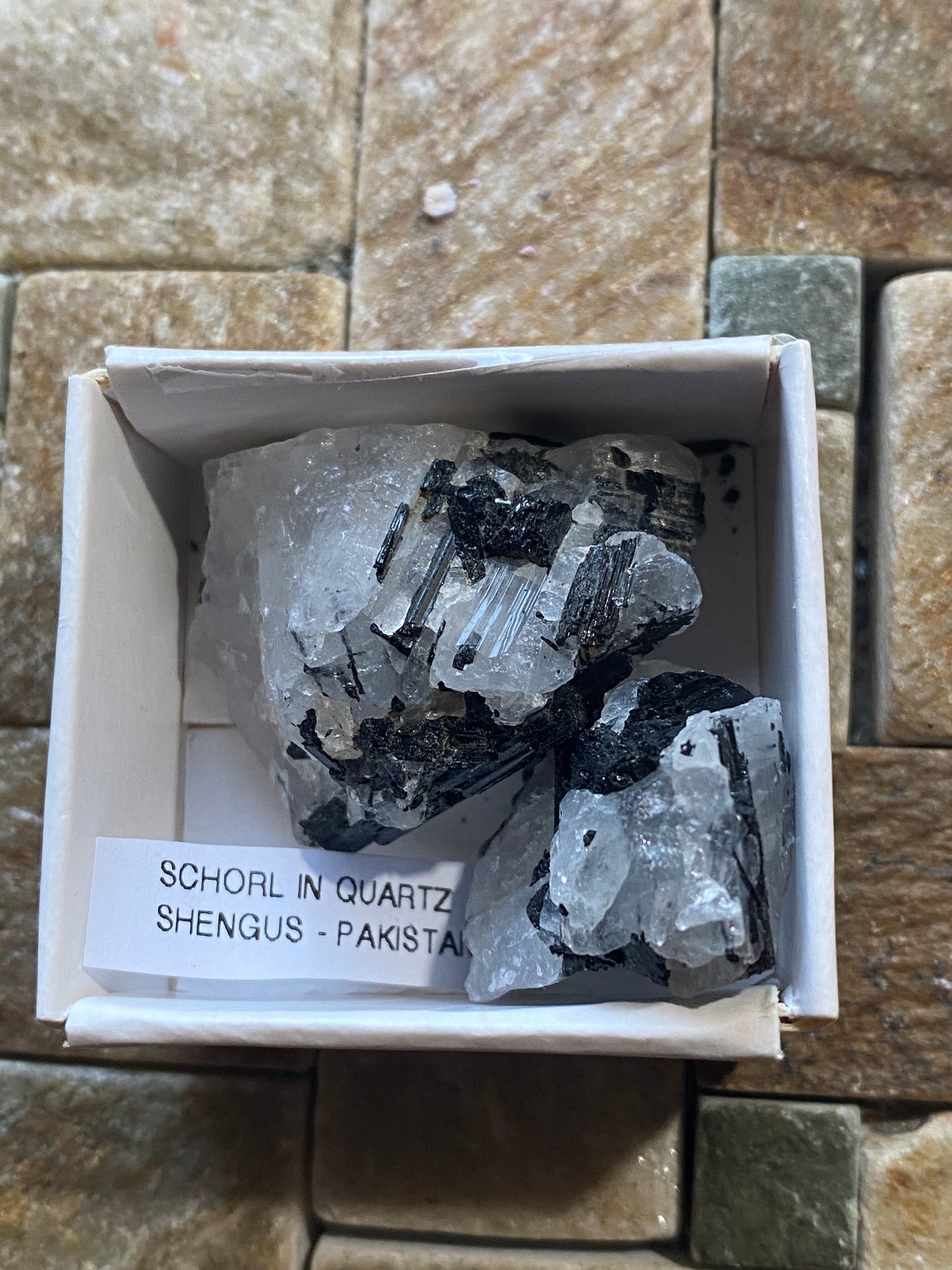 SCHORL TOURMALINE IN QUARTZ x 2 : SHENGUS, ROUNDU DISTRICT, PAKISTAN 26g MF4998