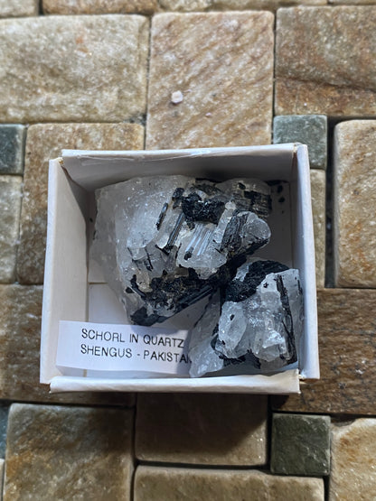 SCHORL TOURMALINE IN QUARTZ x 2 : SHENGUS, ROUNDU DISTRICT, PAKISTAN 26g MF4998