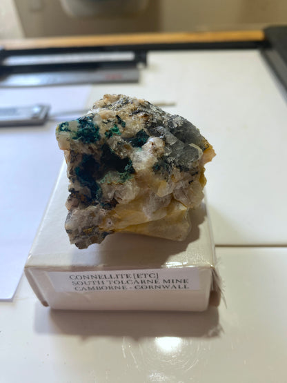 CONNELLITE [ETC] : SOUTH TOLCARNE MINE, BEACON, CAMBORNE, CORNWALL 58g
