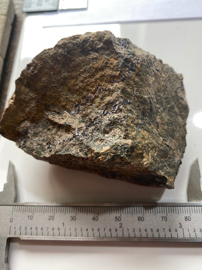 CASSITERITE IN MATRIX : WHEAL EDWARD, ST JUST, CORNWALL. 253g MF5011