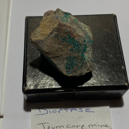 DIOPTASE ON MATRIX - TSUMEB MINE, OSHIKOTO, NAMIBIA, AFRICA 44g MF1337