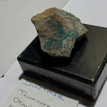 DIOPTASE ON MATRIX - TSUMEB MINE, OSHIKOTO, NAMIBIA, AFRICA 44g MF1337