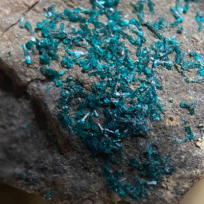 DIOPTASE ON MATRIX - TSUMEB MINE, OSHIKOTO, NAMIBIA, AFRICA 44g MF1337