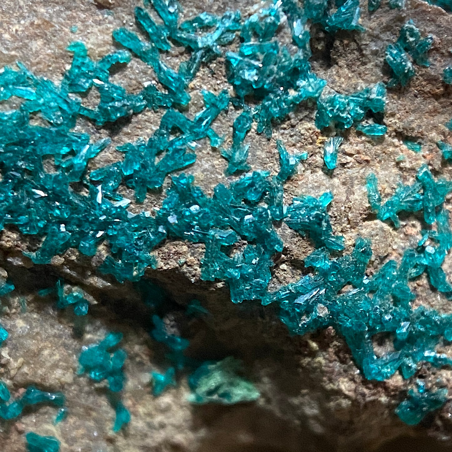 DIOPTASE ON MATRIX - TSUMEB MINE, OSHIKOTO, NAMIBIA, AFRICA 44g MF1337