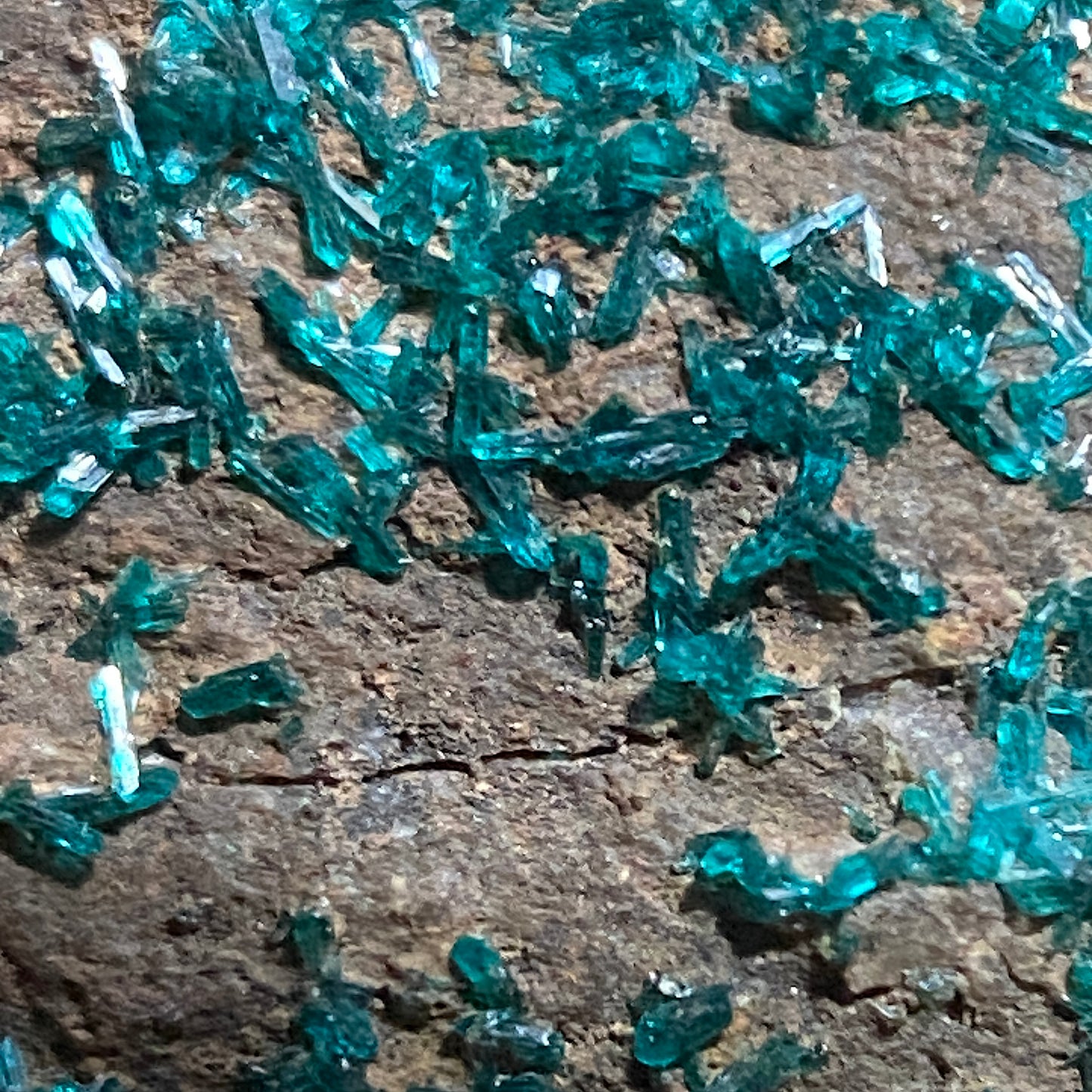 DIOPTASE ON MATRIX - TSUMEB MINE, OSHIKOTO, NAMIBIA, AFRICA 44g MF1337