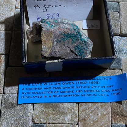 DIOPTASE ON MATRIX - TSUMEB MINE, OSHIKOTO, NAMIBIA, AFRICA 44g MF1337