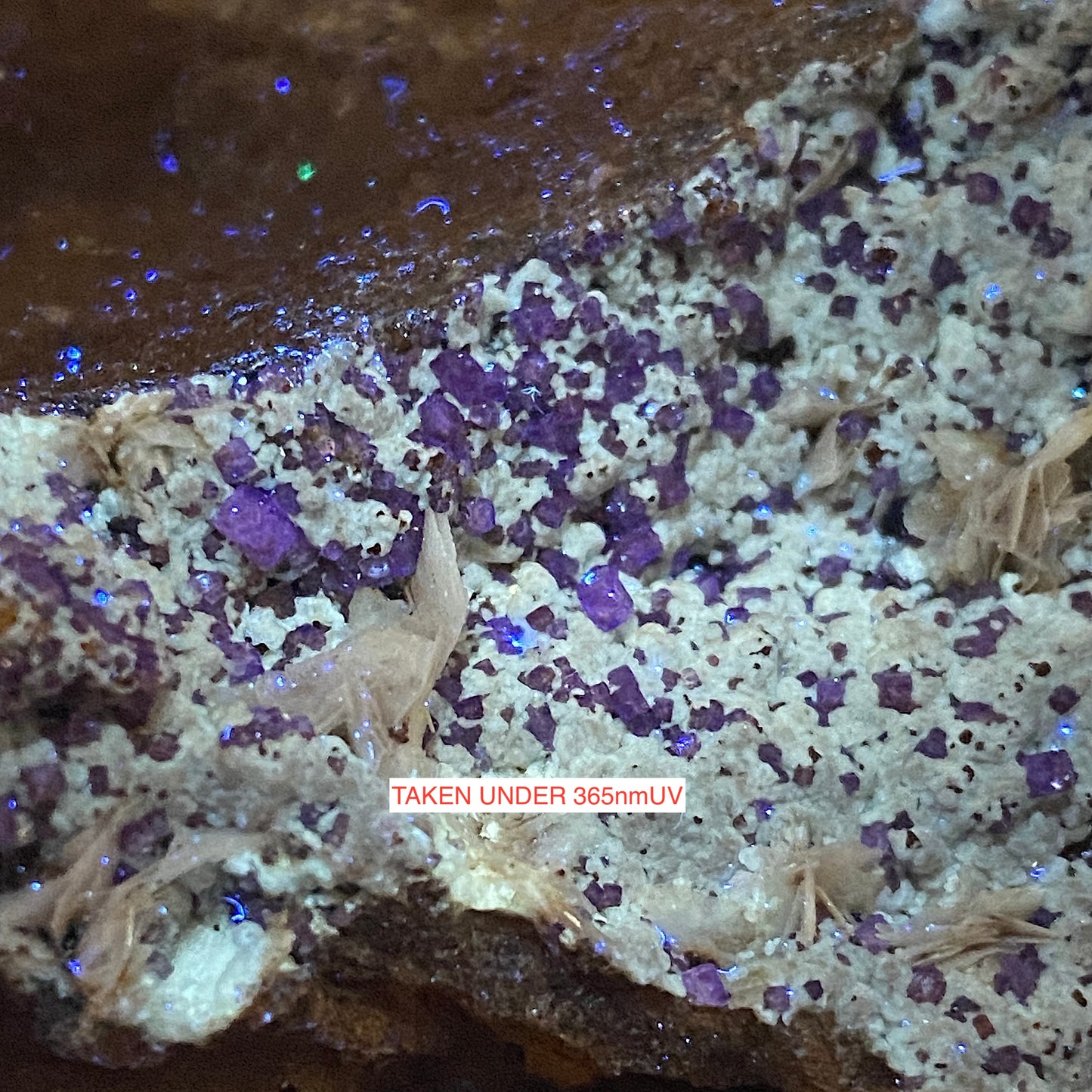 FLUORITE & BARYTE ON LIMONITE - COLDSTONES QUARRY, PATELY BRIDGE, YORKSHIRE 478g MF1343