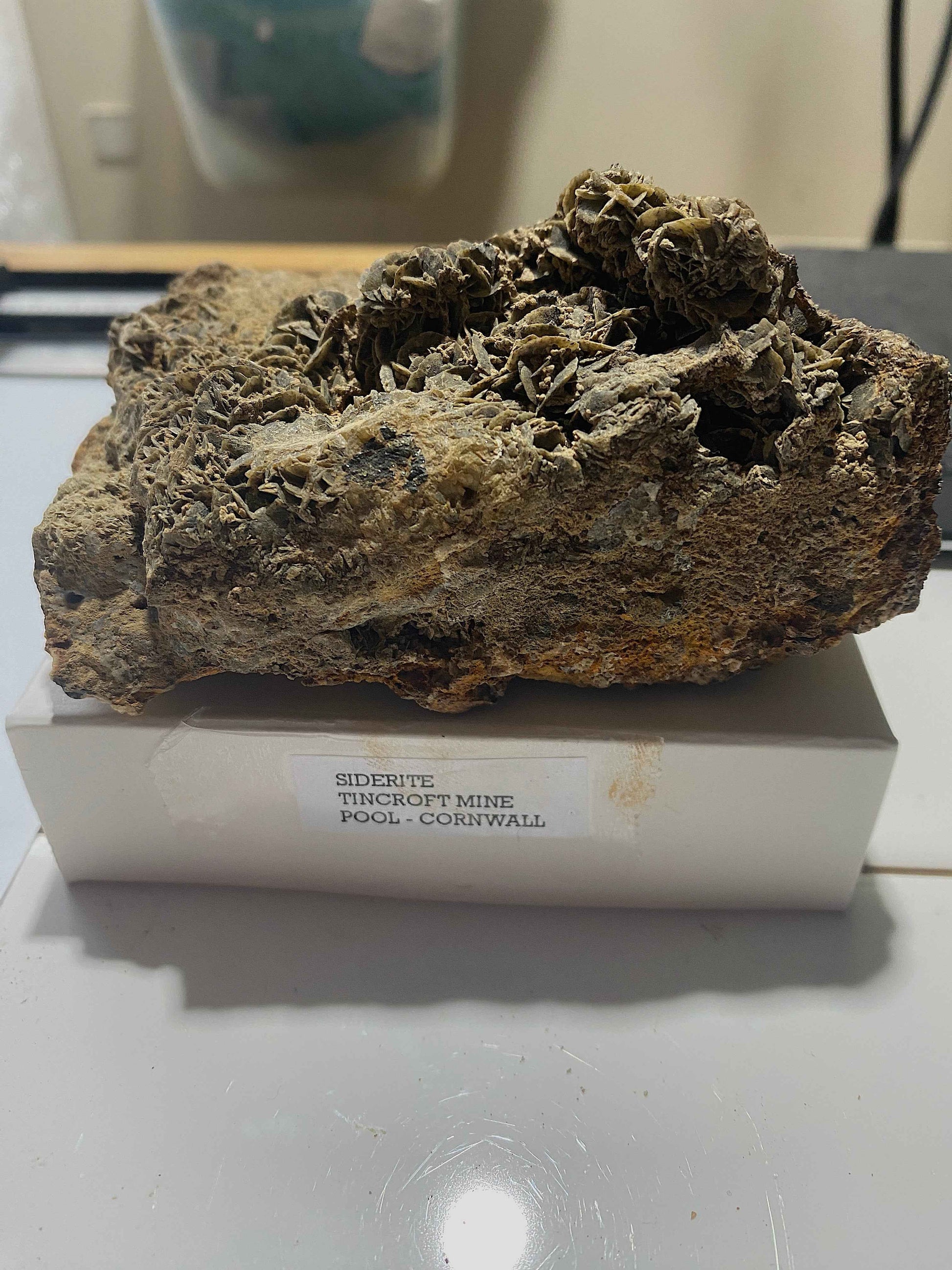 SIDERITE : TINCROFT MINE, POOL, CARN BRAE, CORNWALL  583g.  MF5016
