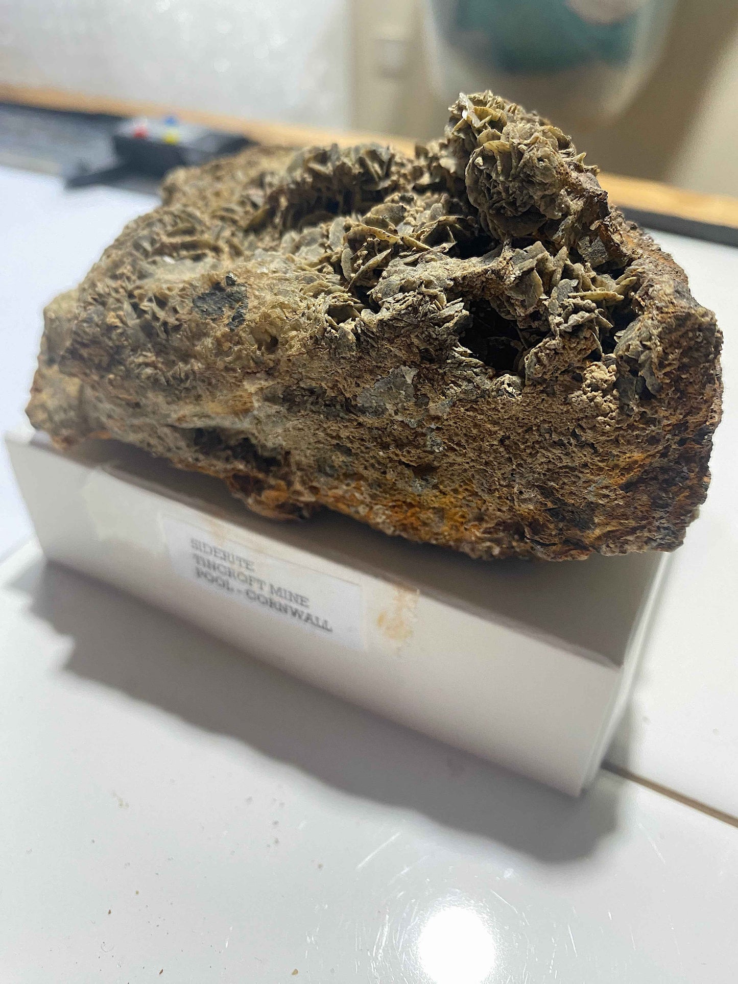 SIDERITE : TINCROFT MINE, POOL, CARN BRAE, CORNWALL  583g.  MF5016