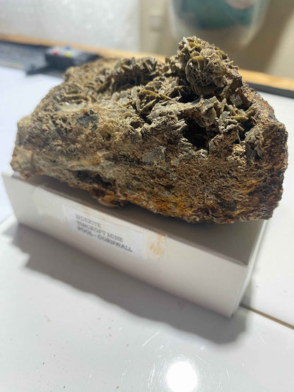 SIDERITE : TINCROFT MINE, POOL, CARN BRAE, CORNWALL  583g.  MF5016