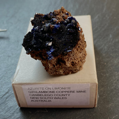 AZURITE ON LIMONITE, GIRILAMBONE COPPER MINE, N.S.W.  AUSTRALIA