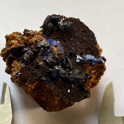 AZURITE ON LIMONITE, GIRILAMBONE COPPER MINE, N.S.W.  AUSTRALIA