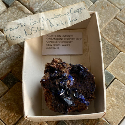 AZURITE ON LIMONITE, GIRILAMBONE COPPER MINE, N.S.W.  AUSTRALIA