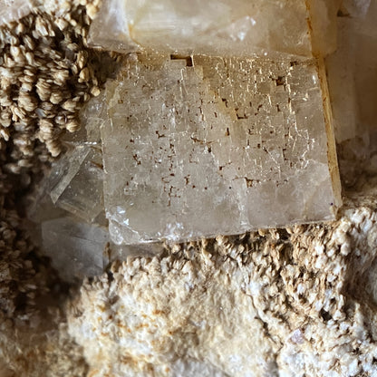 GALENA/FLUORITE/QUARTZ ETC - WHEAL MARY ANN, MENHENIOT, CORNWALL 302g MF1316