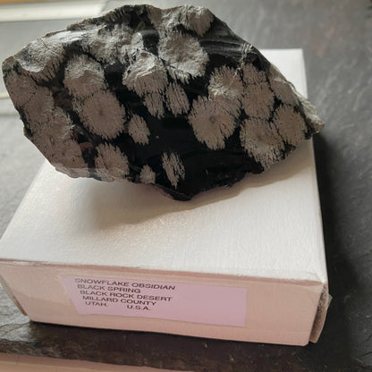 SNOWFLAKE OBSIDIAN, BLACK SPRING, BLACK ROCK DESERT, UTAH, U.S.A. 90g MF1761