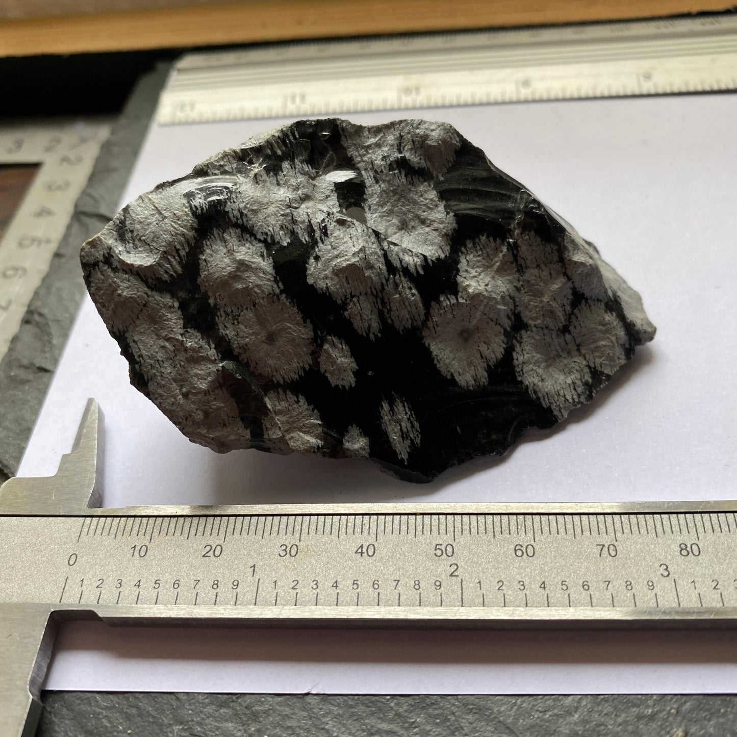 SNOWFLAKE OBSIDIAN, BLACK SPRING, BLACK ROCK DESERT, UTAH, U.S.A. 90g MF1761