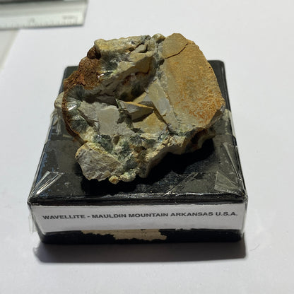 WAVELLITE ON MATRIX : MAULDIN MOUNTAIN, ARKANSAS, U.S.A. 37g MF1348