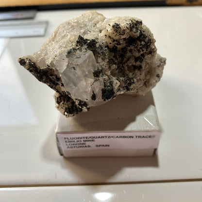 FLUORITE AVEC PYROBITUME/CARBONE RARE DE LA MINE EMILIO, ESPAGNE 154 g MF1334