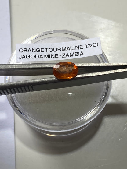 ORANGE TOURMALINE NATURAL GEMSTONE : JAGODA MINE, MKUSHI,CENTRAL PROVINCE, ZAMBIA. 0.72Ct MF4951