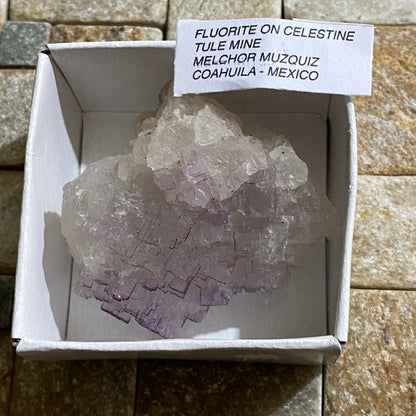 FLUORITE ON CELESTINE - TULE MINE, COAHUILA, MEXICO 70g  MF4127