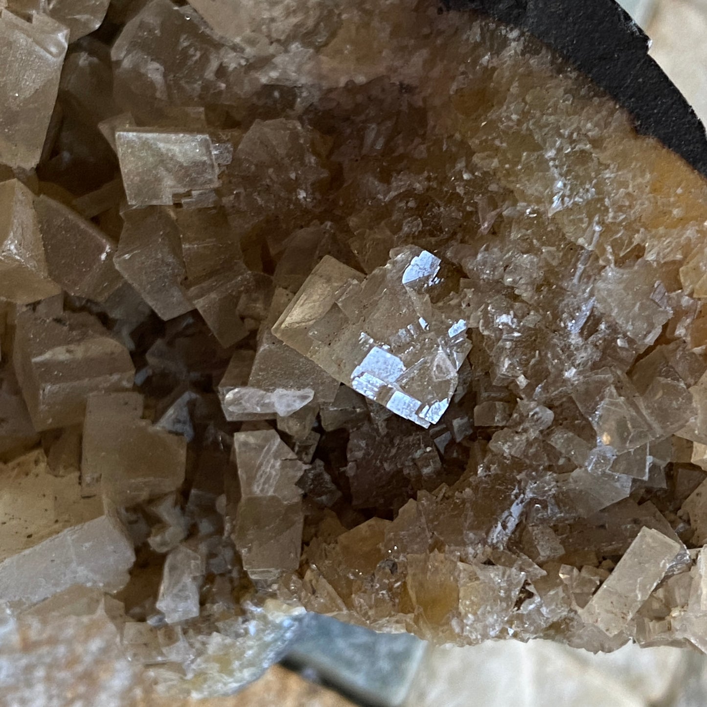 CALCITE IN KIMMERIDGE CLAY - RINGSTEAD BAY, DORSET, ENGLAND. 198g MF4131