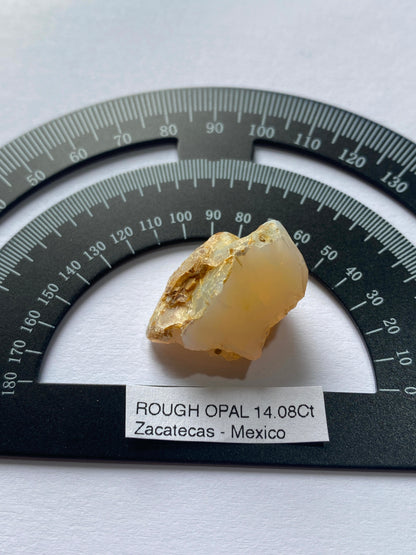 ROUGH OPAL : ZACATECAS, MEXICO           14.08Ct. MFG4961
