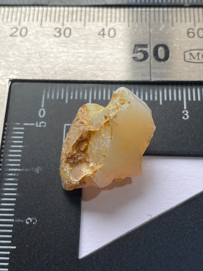 ROUGH OPAL : ZACATECAS, MEXICO           14.08Ct. MFG4961